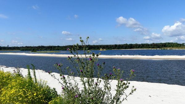 Dessel - Groeve Donk 49