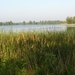 Mol - Ronde Put 01