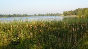Mol - Ronde Put 01