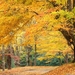 tapety-na-pulpit-jesien-244_1123510005