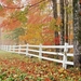 tapety-na-pulpit-jesien-268_68818946