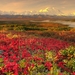 tapety-na-pulpit-jesien-293_742273630