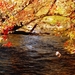 tapety-na-pulpit-jesien-296_604314376