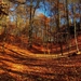 tapety-na-pulpit-jesien-297_528996347