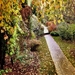 tapety-na-pulpit-jesien-301_166427099
