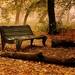 tapety-na-pulpit-jesien-306_1002858535