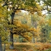 tapety-na-pulpit-jesien-314_43490795