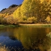 tapety-na-pulpit-jesien-315_124856491