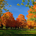 hd-herfst-achtergrond-met-herfst-in-het-park-hd-herfst-wallpaper