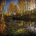 hd-herfst-landschap-achtergrond-met-veel-bomen-en-veel-vallende-b