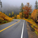 hd-herfst-wallpaper-met-een-weg-door-de-bergen-en-bomen-met-herfs