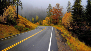 hd-herfst-wallpaper-met-een-weg-door-de-bergen-en-bomen-met-herfs