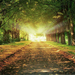 hd-prachtige-herfst-wallpaper-met-bomen-langs-de-weg-en-veel-herf