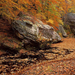 hd-herfst-achtergrond-met-herfstbladeren-in-het-water-hd-herfst-w