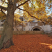 hd-herfst-wallpaper-met-een-boom-met-herfstbladeren-op-de-grond-e