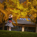 hd-herfst-wallpaper-met-een-kind-en-bomen-met-herfstbladeren-hd-h