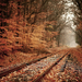 hd-herfst-wallpaper-met-herfstbladeren-op-het-spoor-hd-herfst-ach