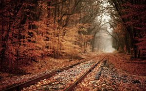 hd-herfst-wallpaper-met-herfstbladeren-op-het-spoor-hd-herfst-ach