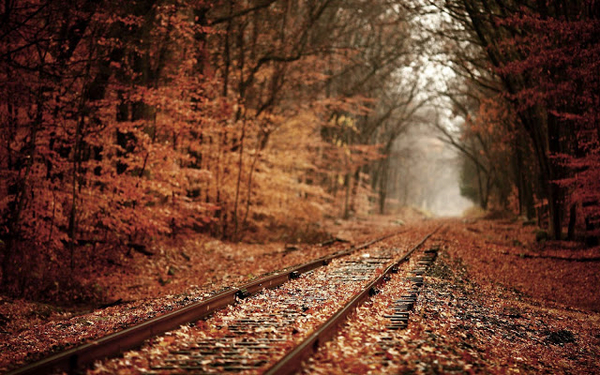 hd-herfst-wallpaper-met-herfstbladeren-op-het-spoor-hd-herfst-ach