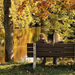 foto-van-twee-mensen-op-een-bankje-bij-het-water-in-de-herfst