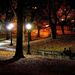 hd-herfst-wallpaper-met-een-park-bij-nacht-met-herfstbladeren-op-