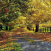 hd-mooie-wallpaper-van-de-herfst-hd-leuke-herfst-achtergrond-foto