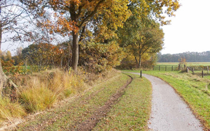 mooie-herfst-achtergrond-met-een-pad-langs-bomen-met-herfstblader