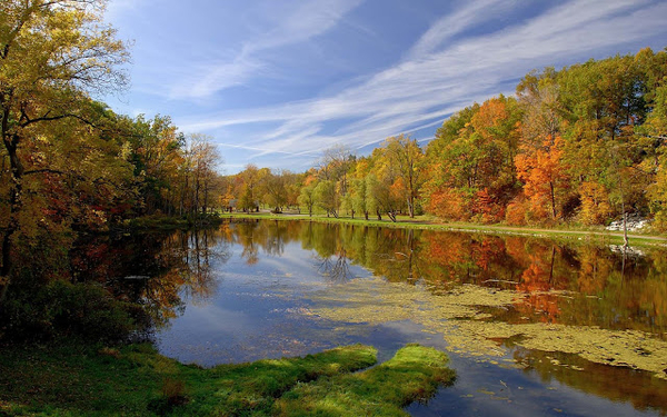 prachtige-herfst-foto-met-een-meertje-en-bomen-met-herfstbladeren