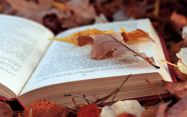 een-boek-tussen-de-herfstbladeren-hd-herfst-achtergrond