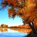 autumn-3224960_960_720