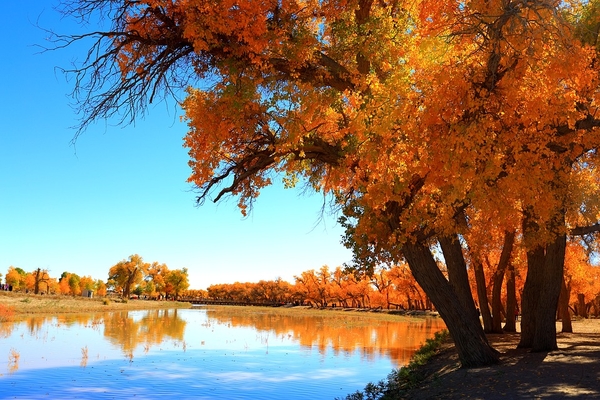 autumn-3224960_960_720