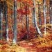 fall-3089995_960_720