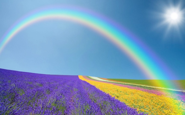 lente-foto-met-veld-vol-bloemen-met-regenboog-en-zon-hd-lente-wal