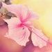 thumb-1920-249840