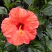 thumb-1920-464655