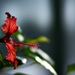 thumb-1920-591655