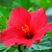 thumb-1920-691775