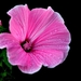 thumb-1920-696362