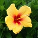thumb-1920-700978