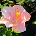 thumb-1920-780007