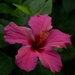 thumb-1920-804701