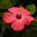thumb-1920-805717
