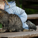 hd-kinderen-wallpaper-met-een-kind-en-een-kat-achtergrond