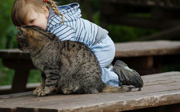 hd-kinderen-wallpaper-met-een-kind-en-een-kat-achtergrond