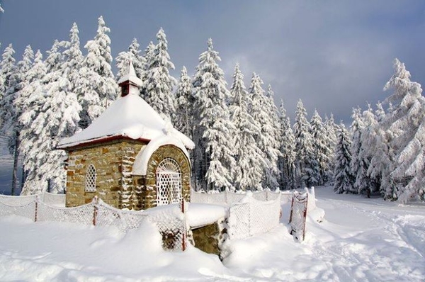 560162_1573210716233389_272771428920302996_n