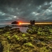 thumb-1920-856960