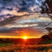 thumb-1920-546827