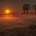 thumb-1920-711818