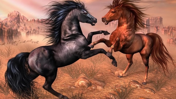 Arabian_horses_1366x768_laptop_backgrounds