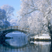 winter-landscape-with-bridge-and-snow